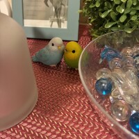 ありがとう