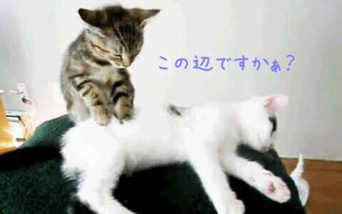 疲れたなー。。。。