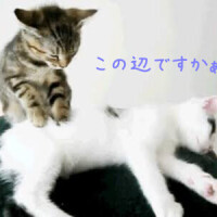 疲れたなー。。。。