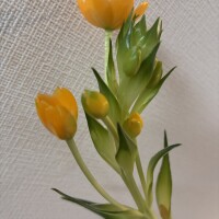 おはようございます♡