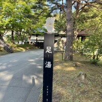 リフレッシュ🌿