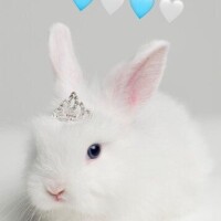 おはようございます🌷