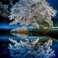 本日もありがとうございました
