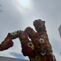 おはよう