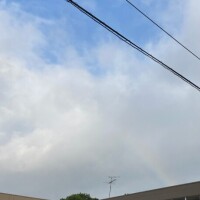 こんばんは