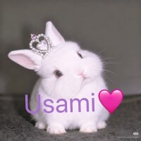 おはようございます☀