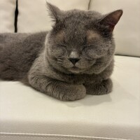 おはよう