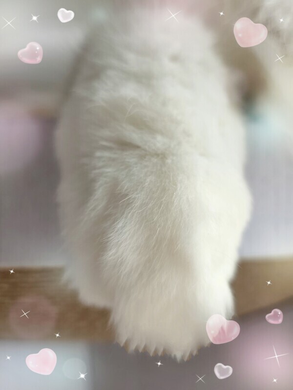 こんばんは🌛