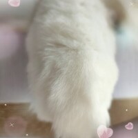 こんばんは🌛
