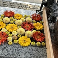 花手水⭐︎