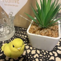 ありがとう
