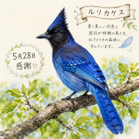 ありがとうございました💖