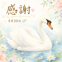 ありがとうございました🦋