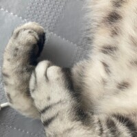 おはようございます