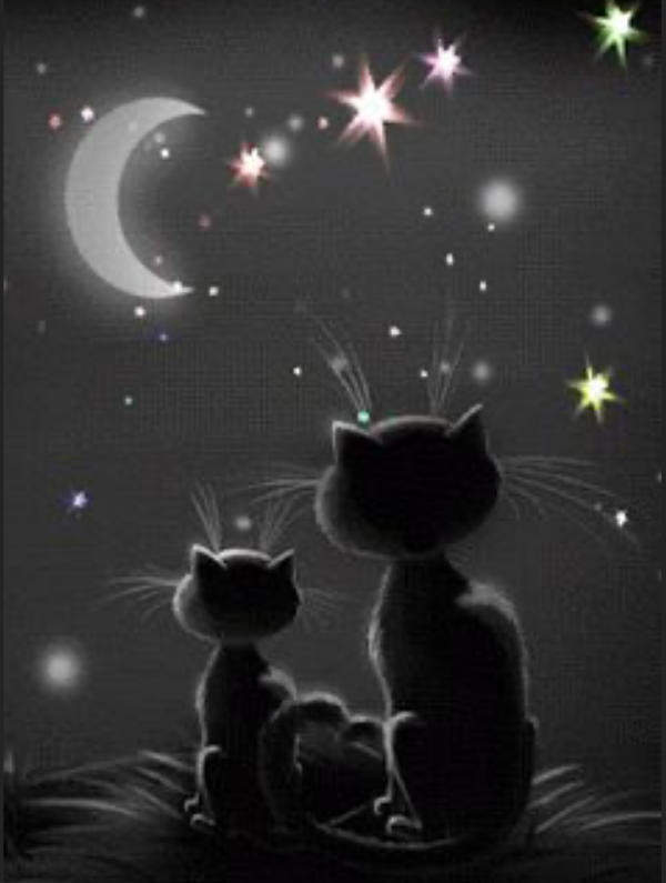 こんばんは🌙