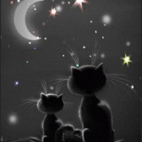 こんばんは🌙