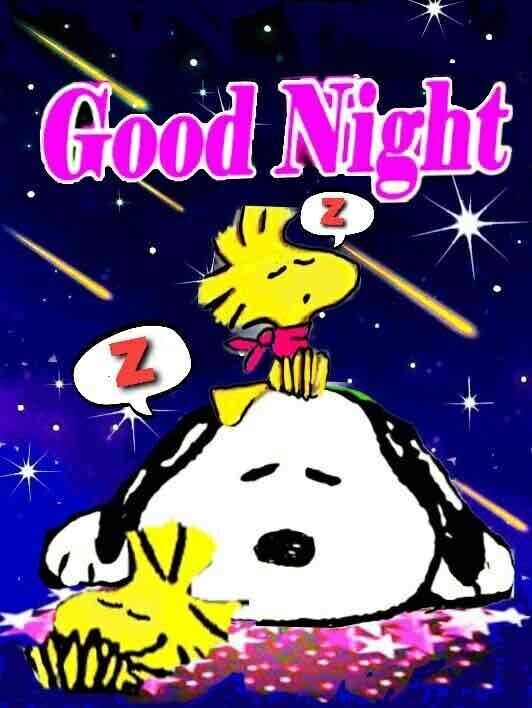 こんばんは🌙