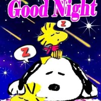 こんばんは🌙