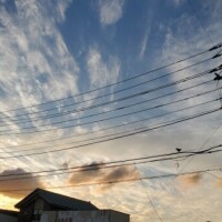 ありがとう❤️