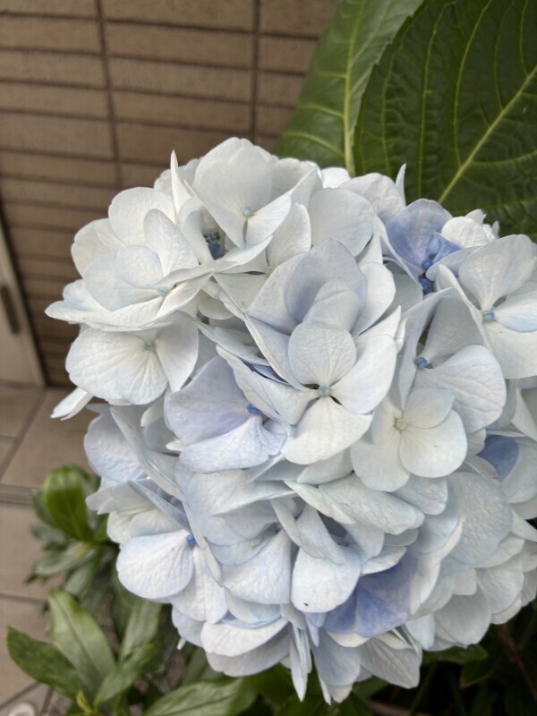 おはようございます💕