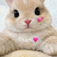 おはようございます☀