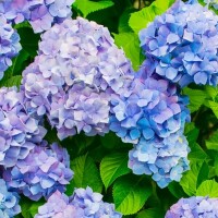 こんにちは😊