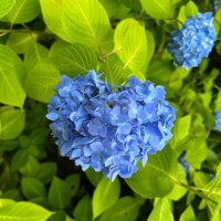 本日もありがとうございました