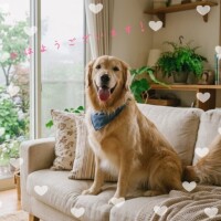 本日10時～出勤いたします！