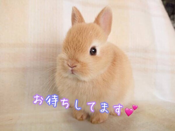心に虹を。。🌈✨️