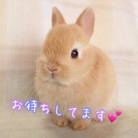 心に虹を。。🌈✨️