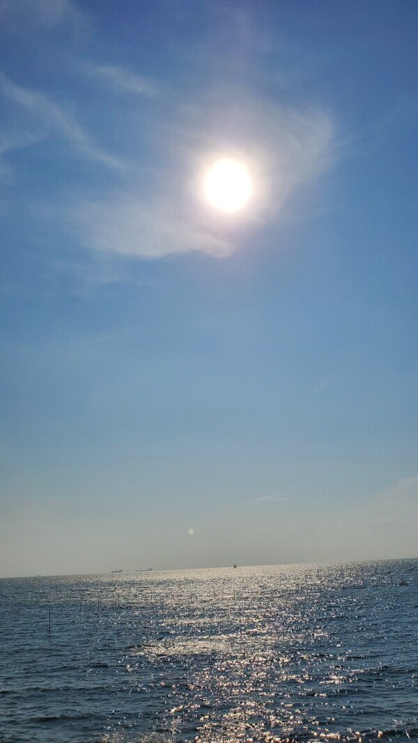 海