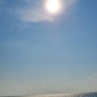 海