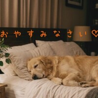 今日もありがとうございました