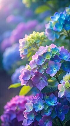 綺麗❁⃘*.ﾟ♡♡