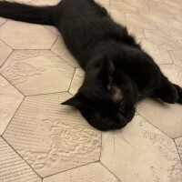 おやすみ🌙