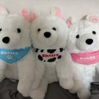 可愛すぎて、、??