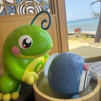 次回?