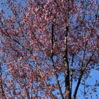 ?3/13お会いしたお兄様方?