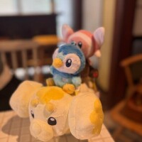 すみませんんん