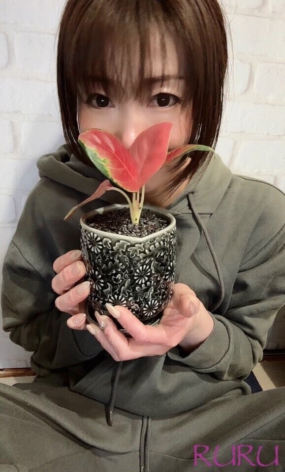 育ってるよ🍀