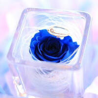 桐谷まつり