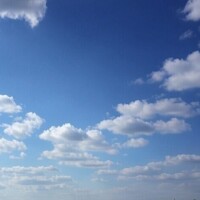 百瀬こはる
