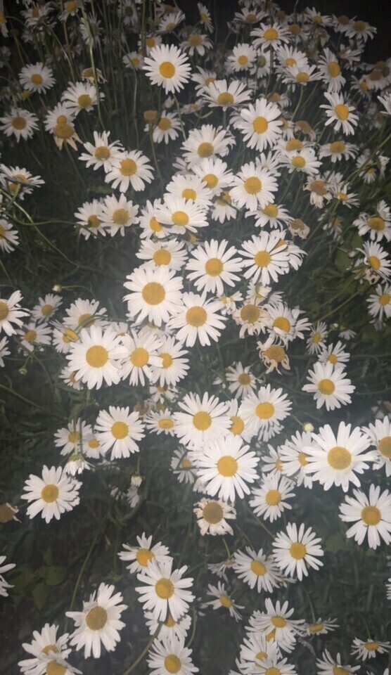 ありがとうございます💐🤍