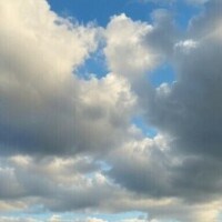 鈴音りん