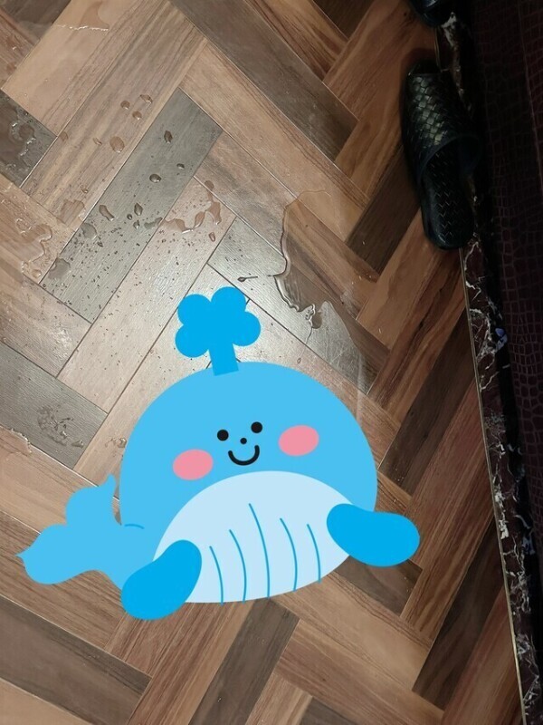 吹き出しすぎてごめんなさい🌱