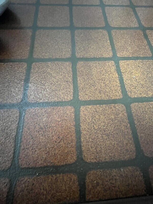 どんとこーい！