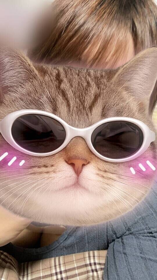 安心感と心地よさ