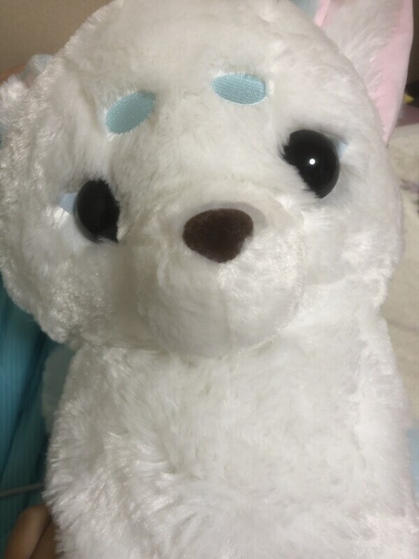 たれまゆきぶん