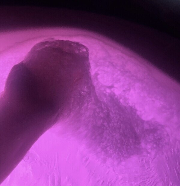 アワって気持ちいい🪄🫧