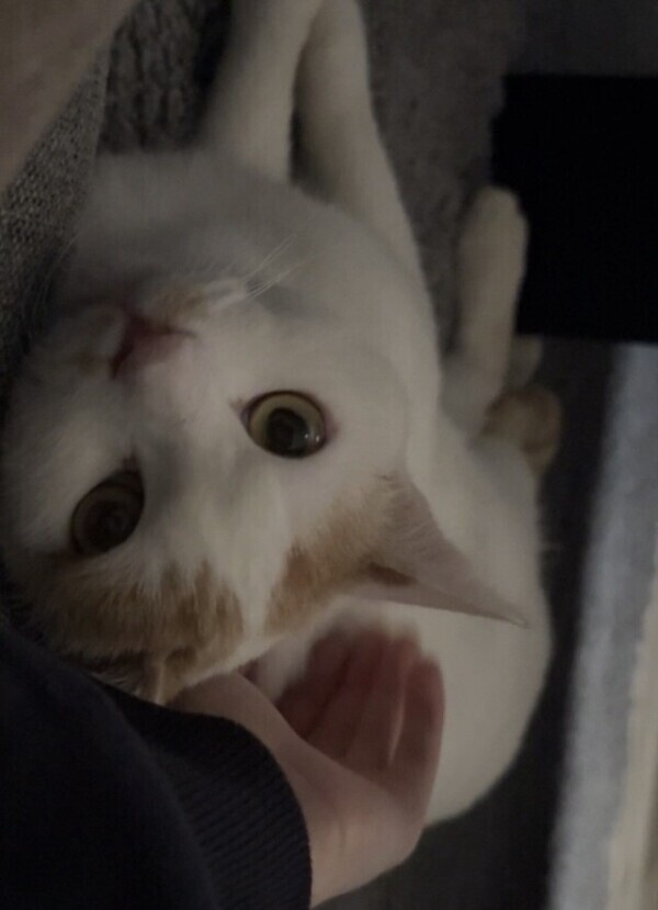 一緒にゴロンしたの♡